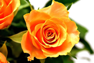 色褪せやすい「黄色」を補う方法