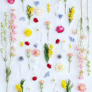 吊るして作るドライフラワーをより綺麗に仕上げる方法について解説します。