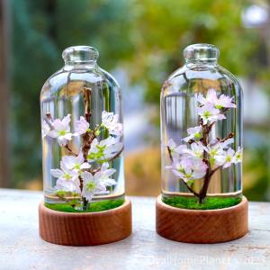 生花のようなドライフラワー作りレッスンについてご案内します。