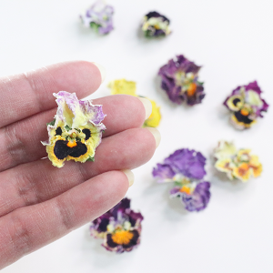 パンジーの色褪せにくいドライフラワー作りについてお伝えします。