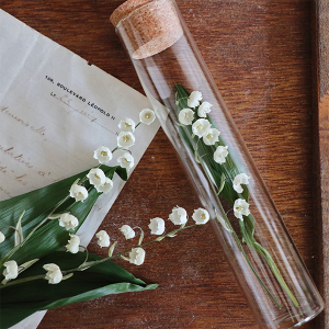 すずらんの開花促進や変色防止など、すずらんをドライフラワーにするための準備についてお伝えします。