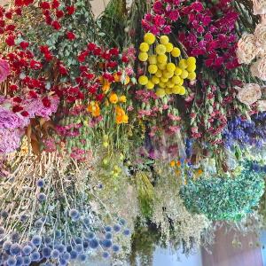 ドライフラワーが完全に乾いたことを確認する方法について解説します。